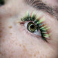 Colour Lashing Intensive — 1:1 In-Person Training Day